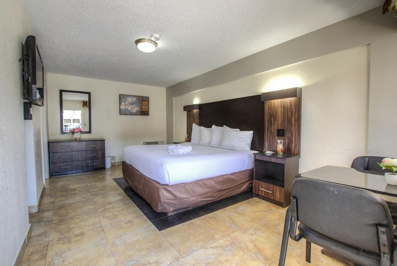 La Bella Oceanfront Inn - Daytona Дейтона-Бич Экстерьер фото